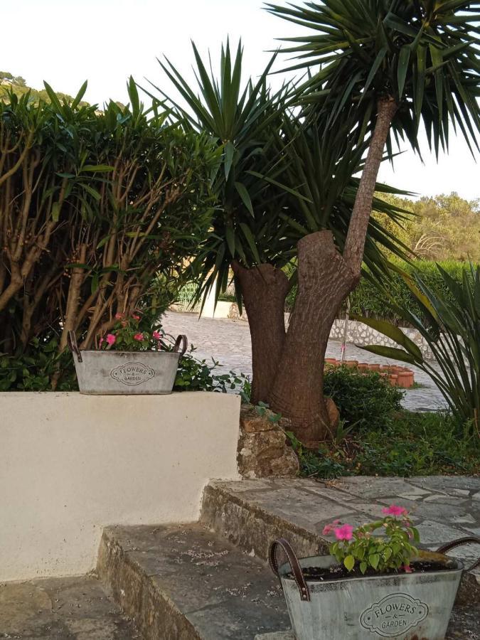 Julietta Suites Argostoli  Exteriér fotografie
